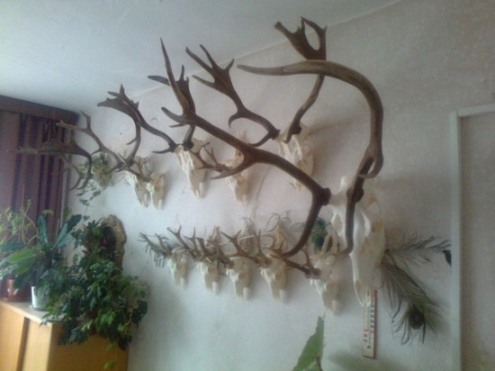 Trocha dekorácie v práci.