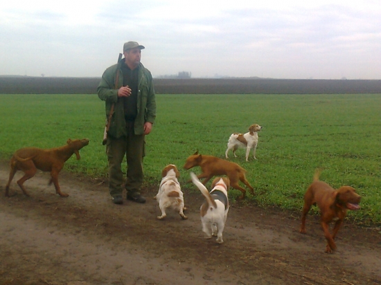 Kynolog Mirko a jeho svorka..