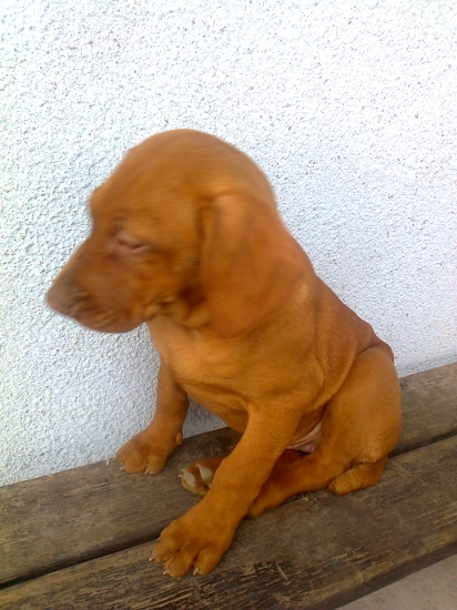 Bude zo mňa niečo.....