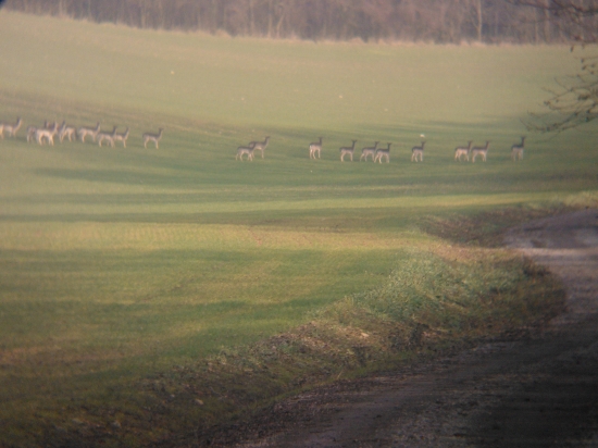 Včerajšia prechádzka