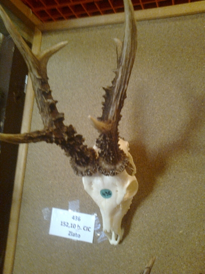 Zo susedného revíru 152 bodov