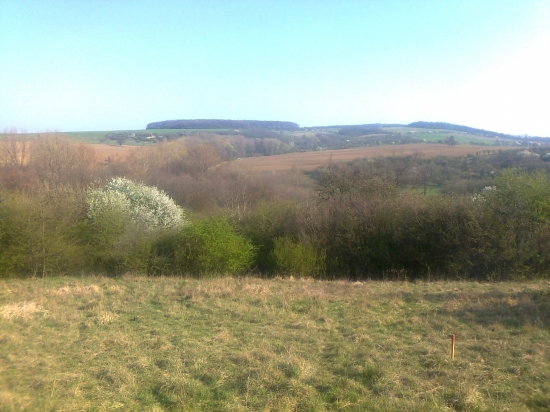 doteraz oáza pre zver