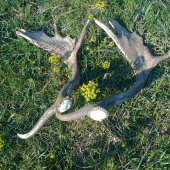 včerajšie