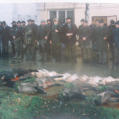 Prieskumna polovacka na drobnu