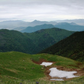 ...posledný siežik