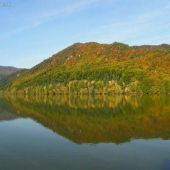 Pestrý výber farieb...