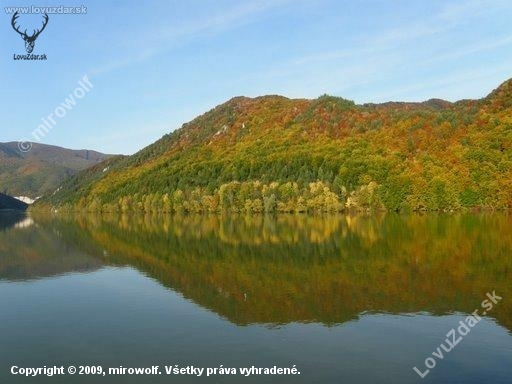 Pestrý výber farieb...