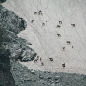 Konečne sa im darí!