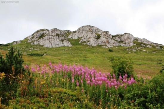 Malá Fatra-Chleb