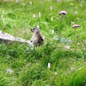 Kto ma to vyrušuje???