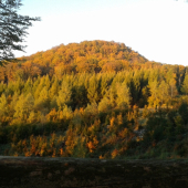 podvečer na štande