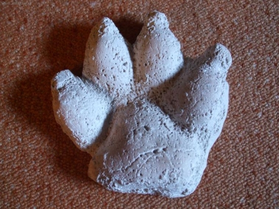 čemu to patří? Délka13cm,šířka 12,5cm