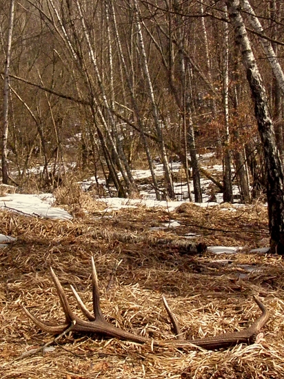 Prvý poriadny v tomto roku.