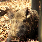 ...tak...čo s tebou Pán fotograf?