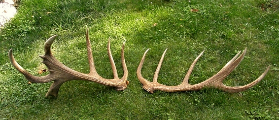 Kompletný pár z ID 140417.