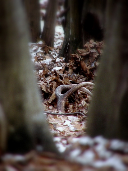 Kúsok vpravo,kúsok vľavo a už ho nezbadám.