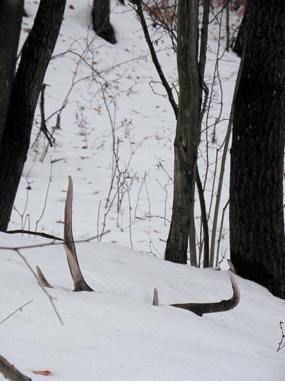 Prvý pohľad je ten naj !