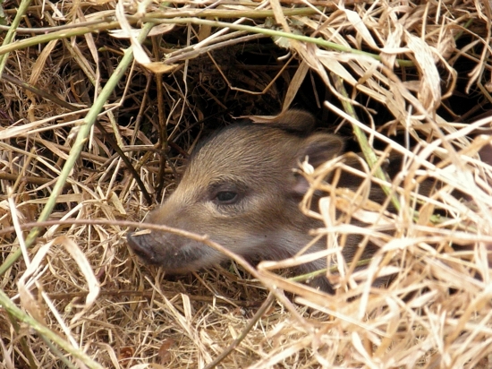 Okno do skutočného sveta