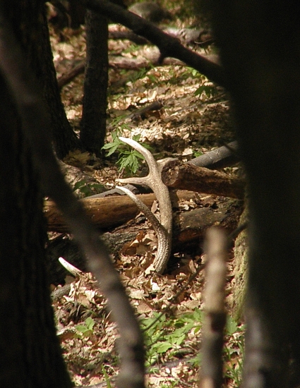 Tak si sa ma dočkal ...