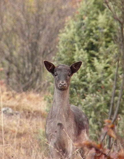 Jednu fotku na občianku prosím ...