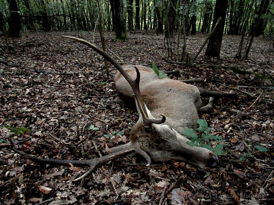 Na druhý krát som ho oklamal ja