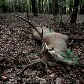 Na druhý krát som ho oklamal ja