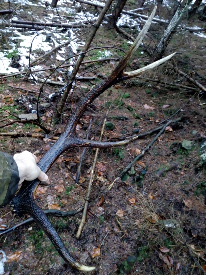 Veľmi pekný po čase