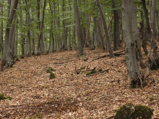 V Auguste na starej ceste !