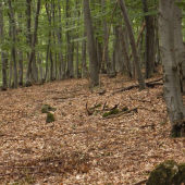 V Auguste na starej ceste !