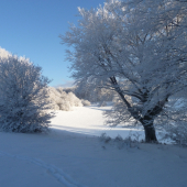 Rozprávková krajina 2