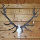 ruja 2009 otcova vydarena 60siatka