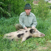 ulovený albín