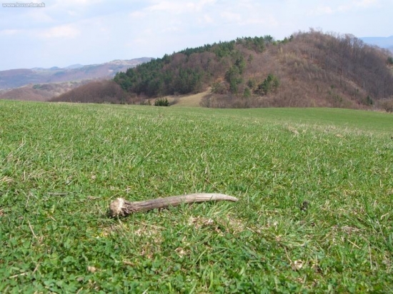 Zabudnutý zo starej sezony.