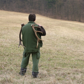 Z päťročných jeleňov.