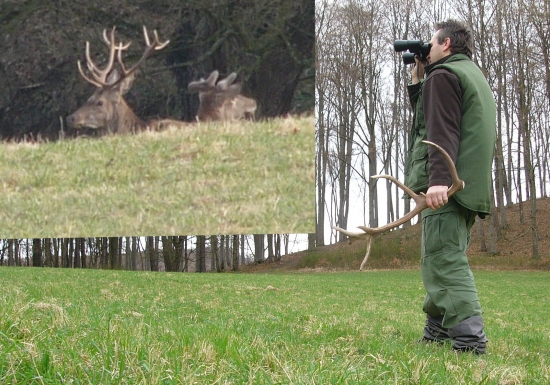 ľavý zhod sa podarilo najsť.