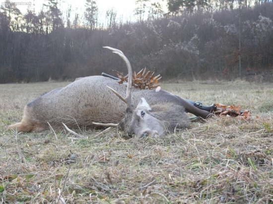 štvorročný-výradovy.