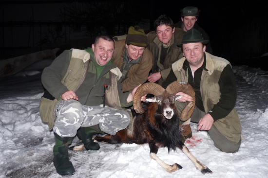 Petrov ulovený starý baran a večerné hodnotenie  úlovku kamarátmi.