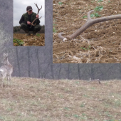 Ako mi srnec pomohol  nájsť jelení zhod