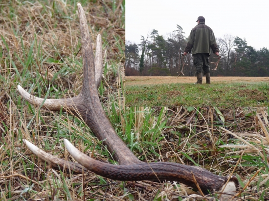 Po daždi na Veľký piatok.