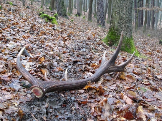 TAKTO SOM HO DNES NAšIEL