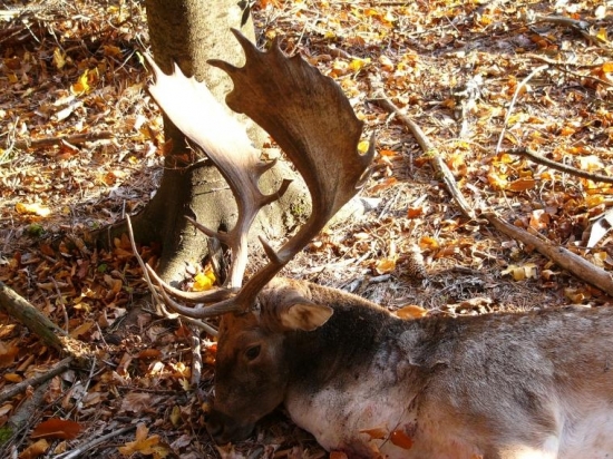 10ročny daniel uloveny v ruji.