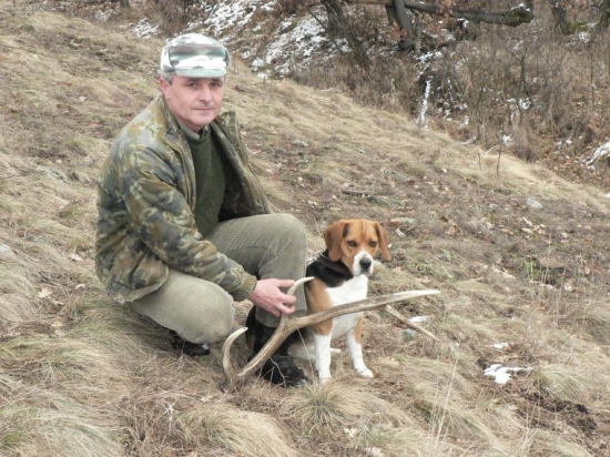 Ja a moj psik sany zo zhodom