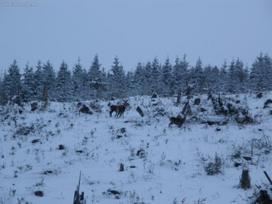 oktober 2009