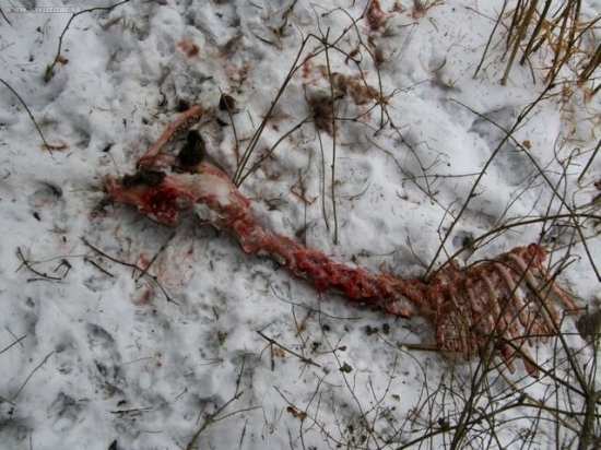 asi sto metrou od tej prvej