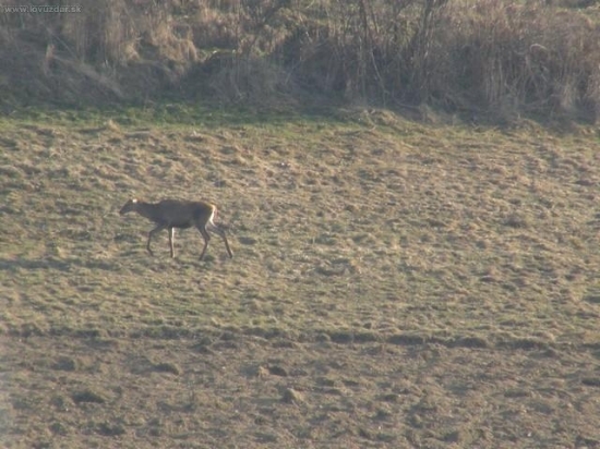 sam ako prst a bez parozia
