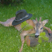 Piatková vychádzka