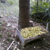 dnešná práca s kamošom :D