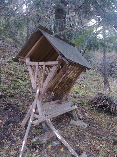 premiestnenie a rekonstrukcia krmelca