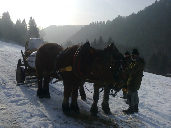 prikrmovanie pomocou našich štvornohých kamarátov :)