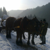 prikrmovanie pomocou našich štvornohých kamarátov :)